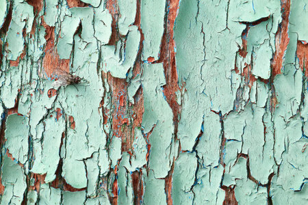 Wooden green background with peeling paint. Old abstract aqua background.の写真素材