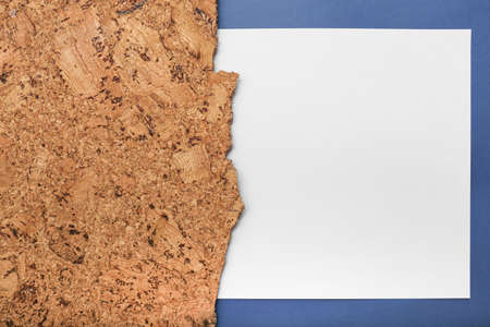 Space for text on the background sheet. White space. Colored abstraction. Paper texture. Frame and blank for the inscription.の写真素材