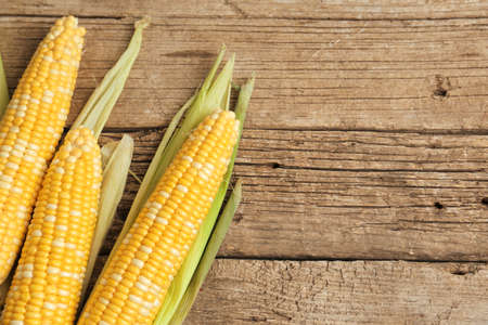 Grains of ripe corn in an ear, close up. Fresh corn cobs on a wooden background.の写真素材