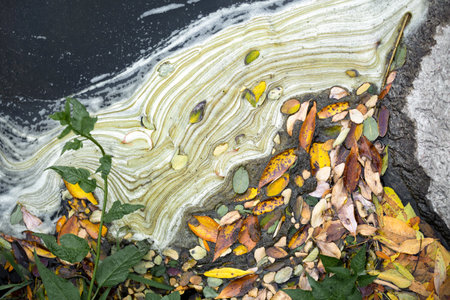 Top view of a pattern of dirty stains in the river, lake, environmental protection, protection of water resources, colorful leaves in the river, abstract background of leaves and spots on the water.の写真素材