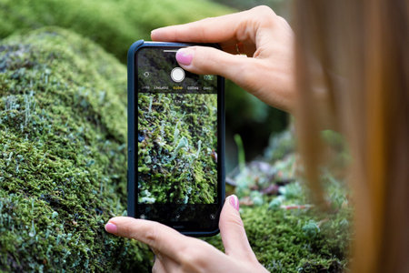 The girl photographs nature, moss flowers in the forest on a mobile phone close-up. The concept of...
