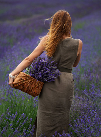 A girl stands in a lavender field and holds a wicker basket full of lavender flowers in her hands.の写真素材