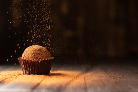 Cocoa powder is sprinkled on a chocolate truffle under a beautiful light. A ball of chocolate truffle is sprinkled with cocoa on a dark background close-up. Conceptual photo of a gourmet truffle.の写真素材