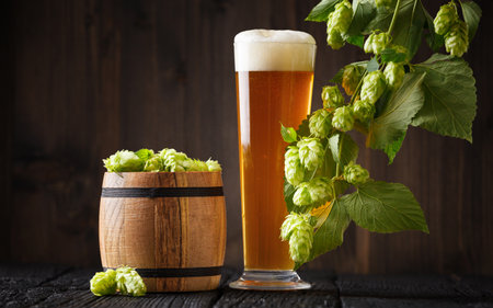 Hops in a wooden barrel, a branch of hops and a glass of beer with foam on a wooden background. Brewing traditions, October fest, St. Patrick's dayの写真素材