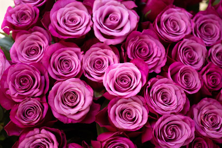 A huge bouquet of pink roses as a background. Postcard, blank for design, template. Women's Day, Mother's Day, Valentine's Day. Flower delivery. Floral background.の写真素材