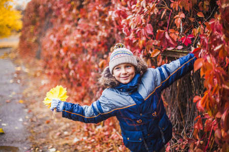 Portrait of a warmly dressed boy in an autumn Park against a background of colorful foliageの写真素材