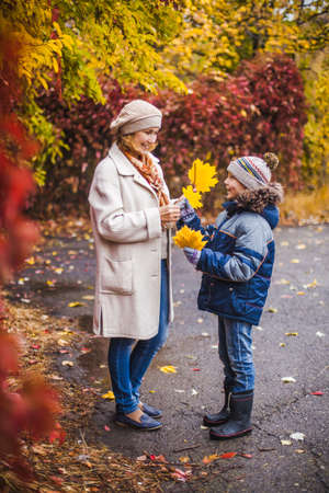 Warmly dressed mother and son in the Park after rain in autumn with yellow leaves in their handsの写真素材