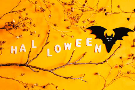 Halloween composition of branches, bat figure and inscription Halloween made of wooden letters on an orange background. High quality photoの写真素材
