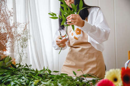 a young brunette woman florist in apron cuts leaves from the stems before starting to create a bouquet in her workshopの写真素材