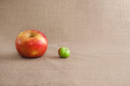 One big red apple and one small green unripe apple on the sack backgroundの素材