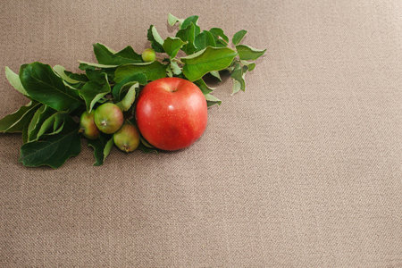 One big red apple and three small unripe green apples with leaves on the sackの素材