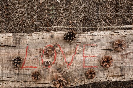 lipstick inscription love on a wooden Board. On the Board a few pine conesの写真素材