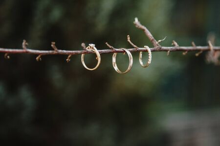 Wedding and engagement rings on a bare twig in the woods. Close-up view. Place for your textの写真素材