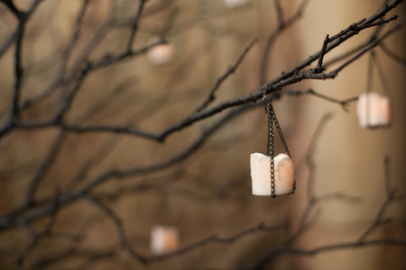 Tree with bare branches decorated with candles hanging on chains. Element of the interior.の写真素材