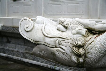 dragon headの写真素材