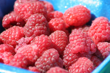 colorful berries at farm market