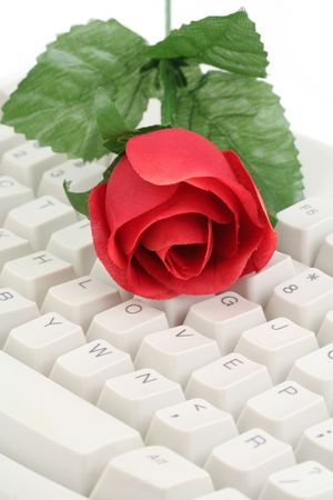 artificial red rose and keyboard close upの写真素材