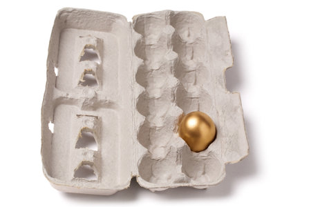 golden egg, concept of Making Money