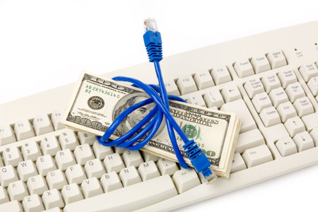 Network Connection Plug and dollars, concept of online business