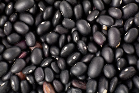 black beans close up shot for backgroundの写真素材