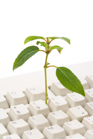 green plant and computer keyboard, concept of online learningの写真素材