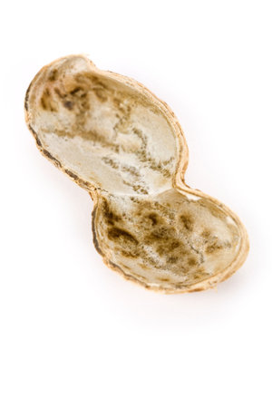Peanut with white background, close up
