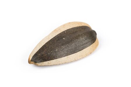 Sunflower Seed close up shotの写真素材