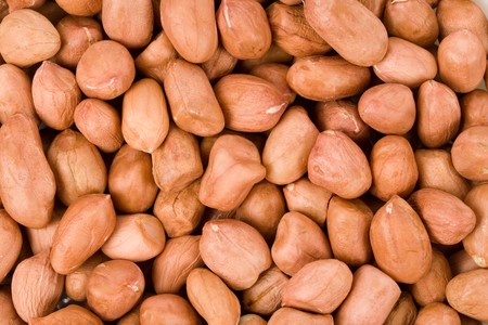 Shellless Peanut close up shotの写真素材