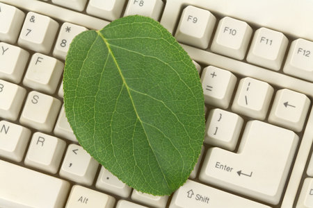  Computer Keyboard and Green leaf, concept of Environmental Conservationの写真素材