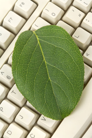  Computer Keyboard and Green leaf, concept of Environmental Conservation