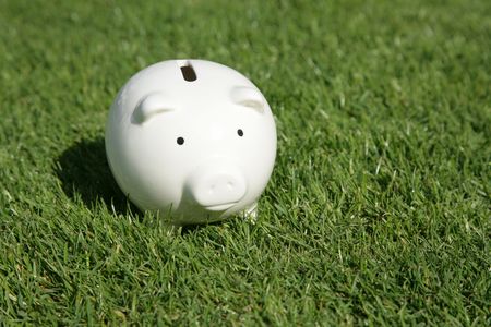 Piggy Bank and green grass, concept of financial success and Environmental Conservationの写真素材