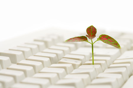 Computer Keyboard and sprout, concept of learningの写真素材