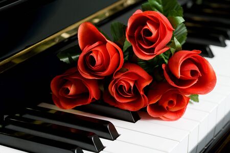  Piano Key and rose close up shotの写真素材