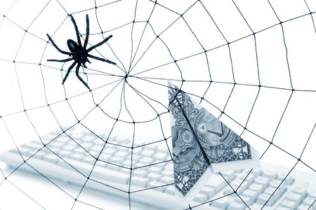 Spider Web and dollar, online business concept, risk, safetyの写真素材