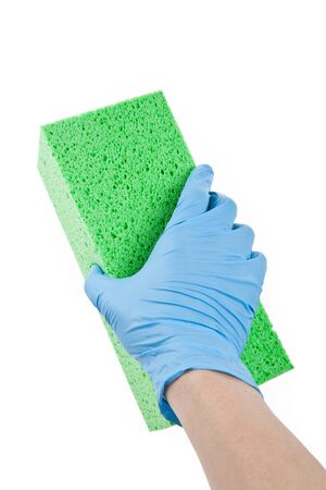 Green Sponge with white backgroundの写真素材