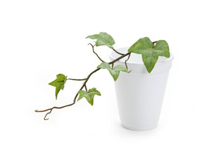 Disposable Cup and plant, concept of Environmental Conservationの写真素材
