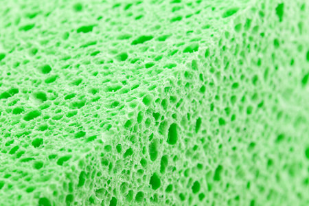 Green Sponge close up for background