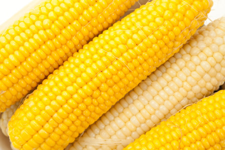 Cooked Corn close up for background