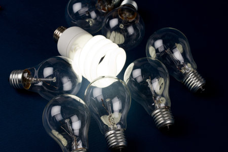 Compact Fluorescent Light bulb and tungsten Light bulb