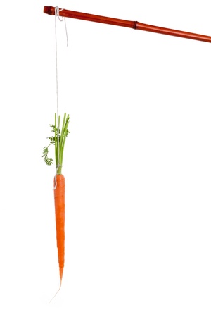 Dangling carrot with white backgroundの写真素材