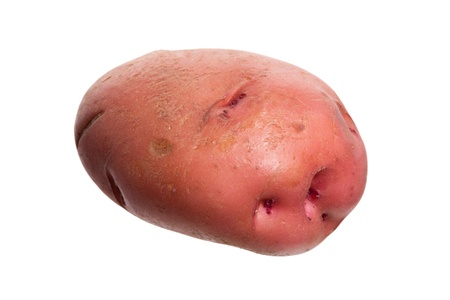 Red Potato with white backgroundの写真素材