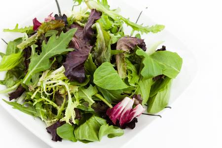 Spinach, red leaf lettuces, mizuna for backgroundの写真素材