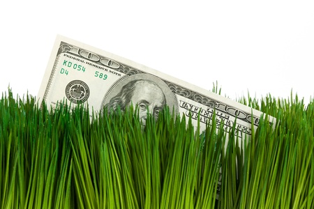Dollar and Green Grass close upの写真素材
