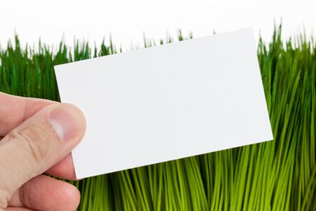 Business Card and green grass close upの写真素材