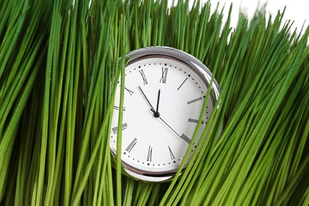 Clock and green grass close upの写真素材