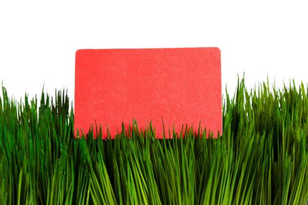 Business Card and green grass close upの写真素材