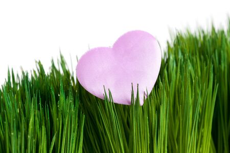 Pink Heart and green grass close upの写真素材