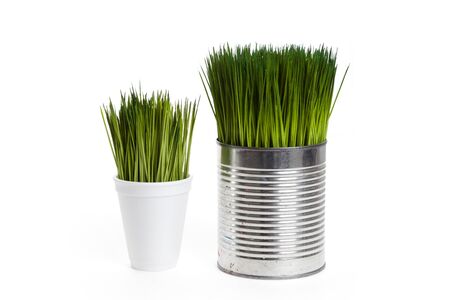 Green grass and metal can, concept of Environmental Conservationの写真素材