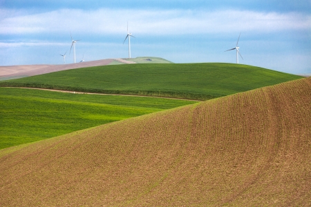 Windmills and wheat fields, Wind Power Energy Generatorの写真素材