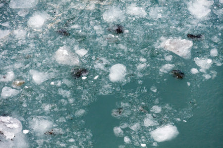 sea ice float on the water